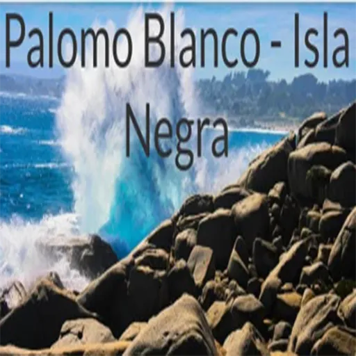 Radio Palomo Blanco